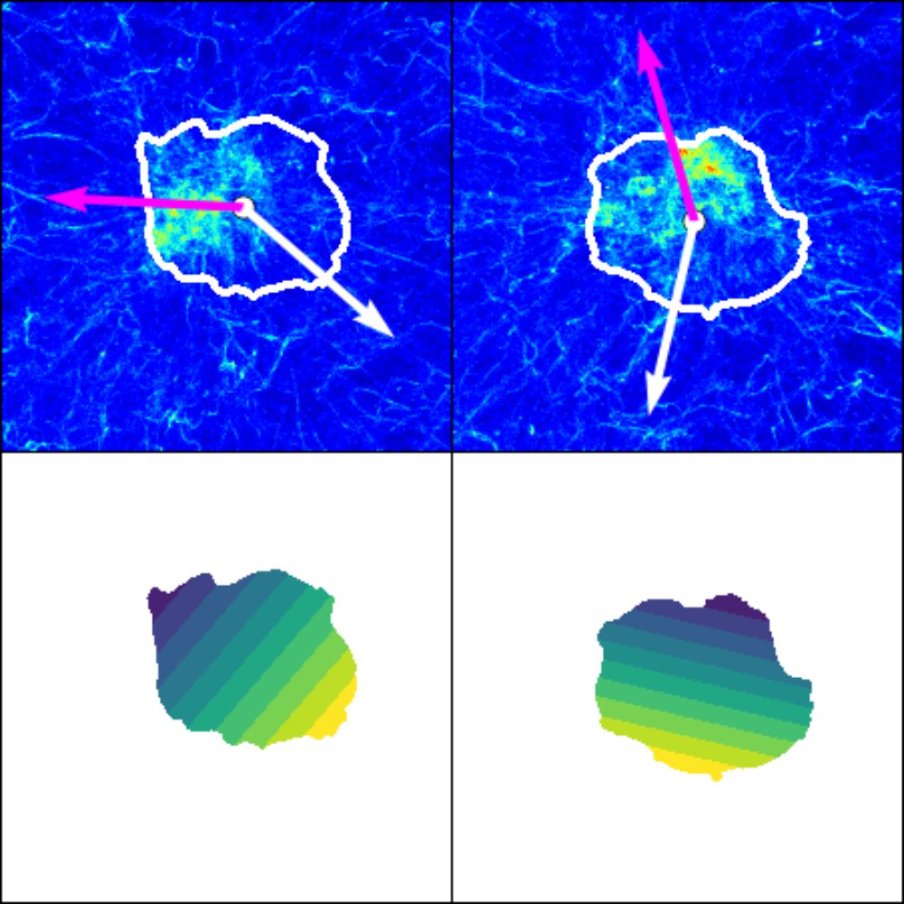 cluster_coll_w_seg.jpg